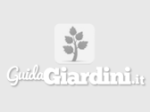 logo_Vivai Piante & Giardini Bassetto