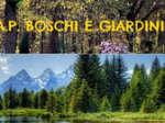 logo_A.p. Boschi E Giardini