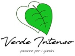 logo_VERDE INTENSO