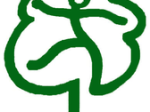 logo_Arborea Treeclimbing