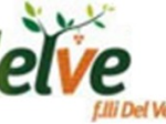 logo_Delve Servizi Giardinaggio