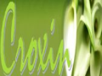 logo_Croxin