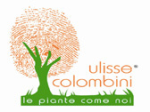 logo_Società Agricola Colombini Ulisse Srl
