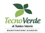 logo_TecnoVerde di Valerio Taddeo