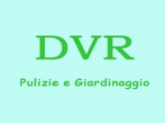 logo_DVR
