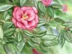logo_Floricoltura Eredi Vinetti s.r.l.