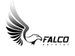 logo_Falco Servizi