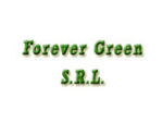 logo_Forever Green S.r.l.