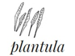 logo_Plantula