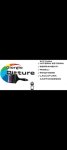 logo_Pitture Giorgio