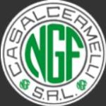 logo_N.G.F. S.R.L.