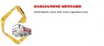 logo_Gaglianone Gennaro