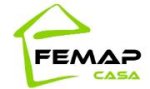 logo_Femap