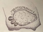 logo_Moriscas MG Service srls