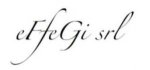 logo_Effegi srl