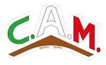 logo_Consorzio Artigianale di Masserano s.r.l.