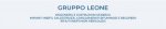 logo_Leone S.r.l.