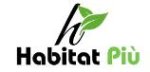 logo_Habitatpiù