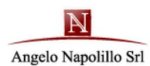 logo_Angelo Napolillo Srl