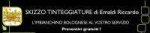 logo_Skizzo Tinteggiature di Emaldi Riccardo