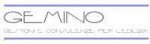 logo_GEMINO - gestioni e consulenze per l\'edilizia -