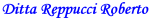 logo_Reppucci Roberto