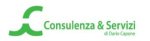 logo_CONSULENZA & SERVIZI DI DARIO CAPONE