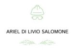 logo_Ariel Di Livio Salomone