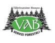 logo_Valorizzazione Biomasse S.r.l.