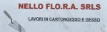 logo_Nello Flo.r.a. SRLS