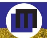logo_Eredi Manghina Salvatore S.r.l.