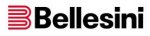 logo_Bellesini Edoardo s.r.l.