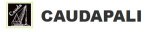 logo_CAUDAPALI S.R.L.