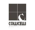 logo_COLLICELLI S.R.L.