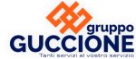 logo_Gruppo Guccione