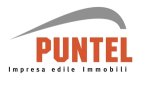 logo_Puntel Gmbh