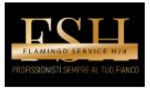 logo_Flamingo Service H24