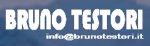 logo_Testori Bruno impresa edile