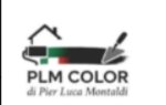 logo_PLM COLOR DI PIER LUCA MONTALDI