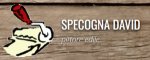 logo_SPECOGNA DAVID