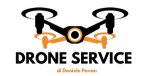 logo_Drone-service di Pavan Daniele