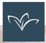 logo_Impresa Di Pulizie Orchidea S.n.c.
