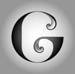 logo_Geom. Danilo Torresi