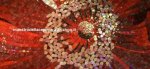 logo_Zace Arton