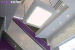 logo_EXPOCOLOR SRLS