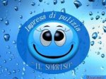 logo_Impresa Di Pulizia Il Sorriso
