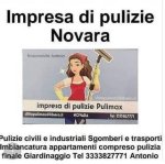 logo_Pulimax pulizie di gioia Mara Lucia