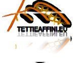 logo_TETTIEAFFINI.EU S.R.L.