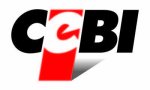 logo_Cebi S.r.l.