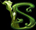 logo_SEECO SRL